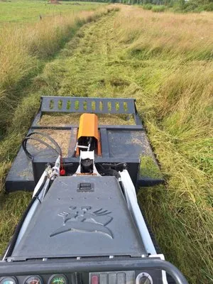 York Landscaping & Tree Service