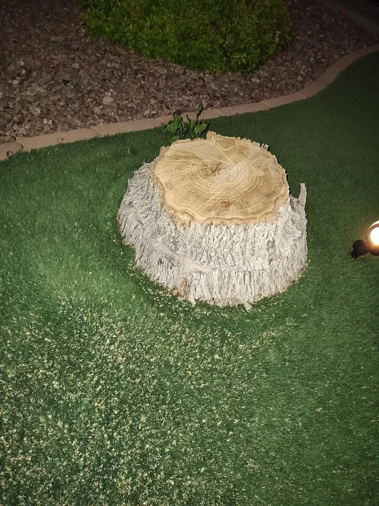 Expert yard cleanup service in Las Vegas, NV - York Landscaping