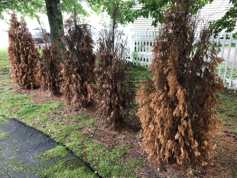 Professional landscaping services with custom design in York, ME by York River Landscaping