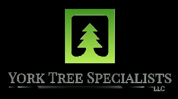 York Tree Specialists Logo