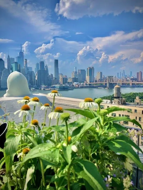 Custom landscaping services in Englewood, NJ - Yorkview Landscapes