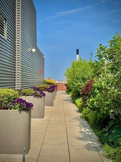 Reliable yard cleanup service in Englewood, NJ - Yorkview Landscapes