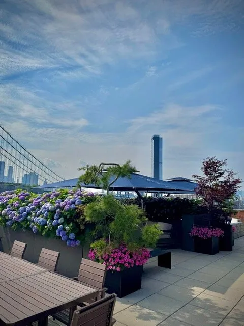 Local yard cleanup service for homes across Englewood, NJ - Yorkview Landscapes