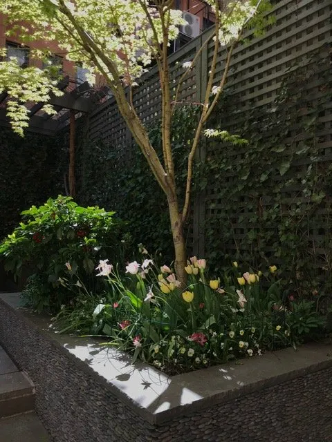 Top-rated yard maintenance for year-round maintenance across Englewood, NJ - Yorkview Landscapes