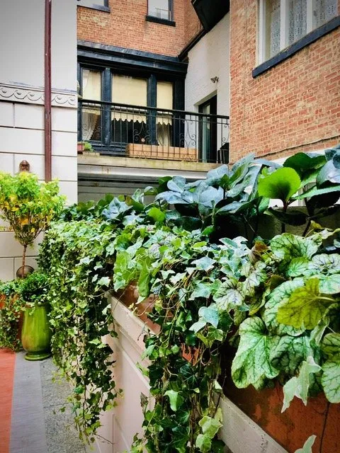 Expert yard maintenance experts serving Englewood, NJ - Yorkview Landscapes