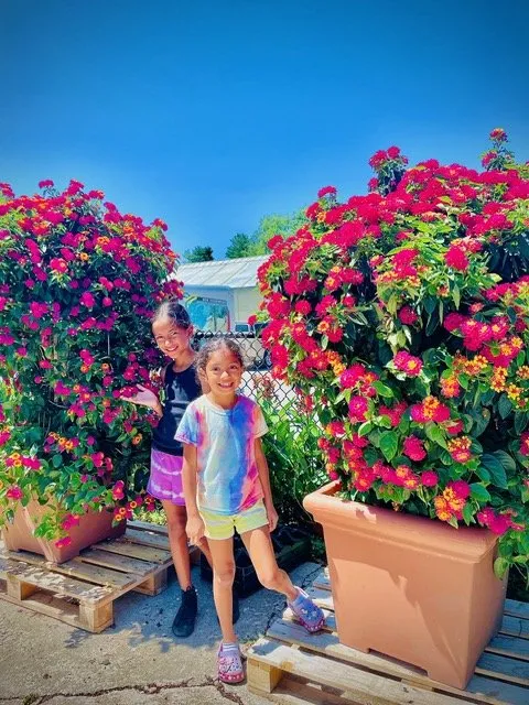 Local landscape design in Englewood, NJ - Yorkview Landscapes