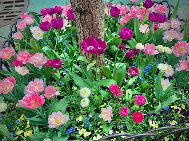 Affordable lawn mowing service for beautiful yards across Englewood, NJ - Yorkview Landscapes