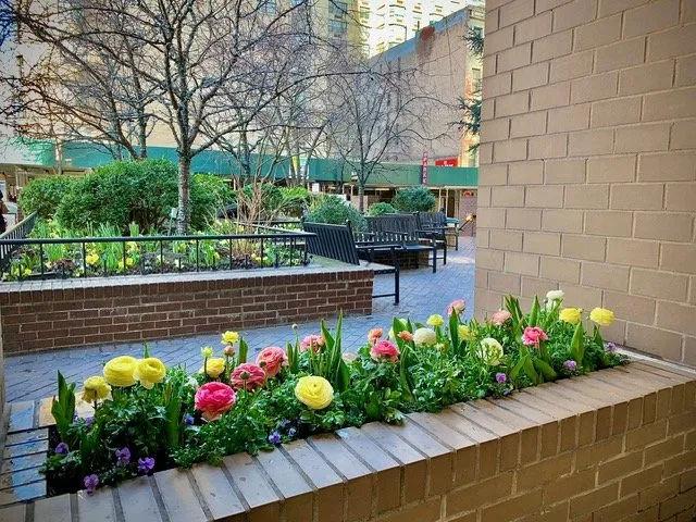 Top-rated yard maintenance experts serving Englewood, NJ - Yorkview Landscapes