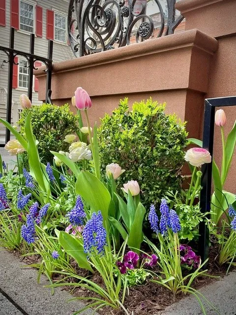 Affordable garden landscaping for outdoor upgrades in Englewood, NJ by Yorkview Landscapes