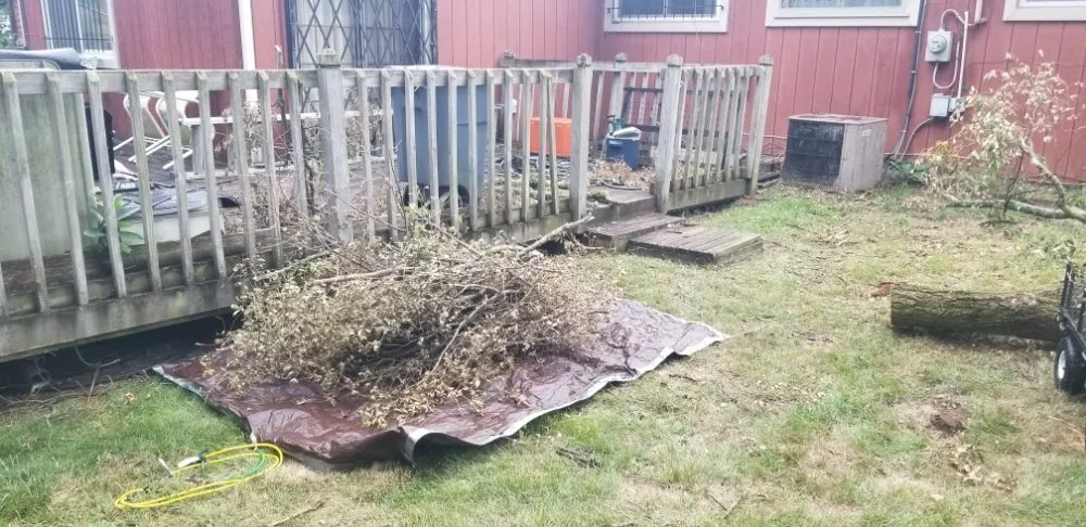 Affordable yard maintenance experts serving Ypsilanti, MI - Yo's 2nd Pair of Handz