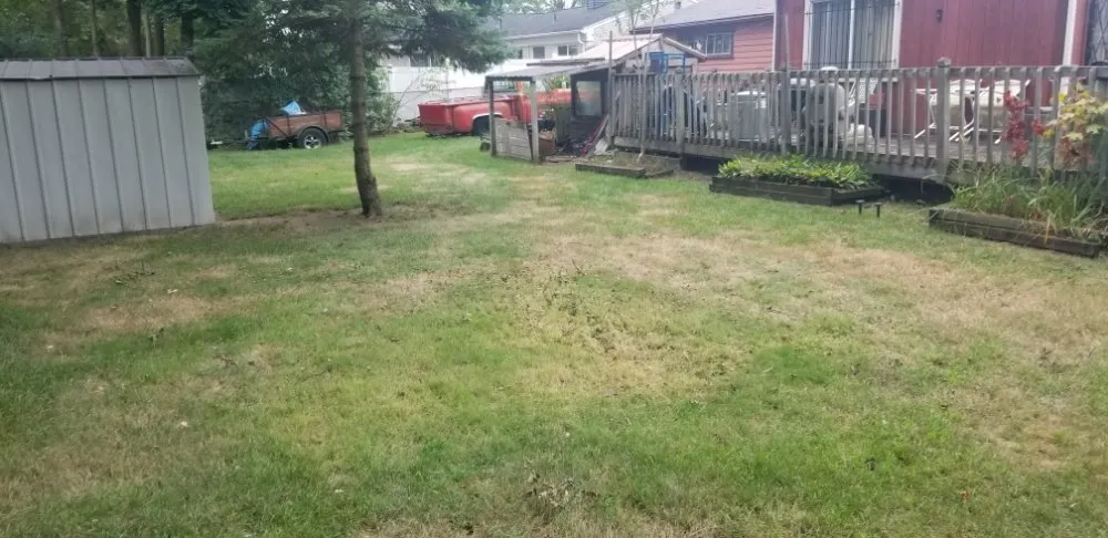 Professional yard cleanup service in Ypsilanti, MI by Yo's 2nd Pair of Handz