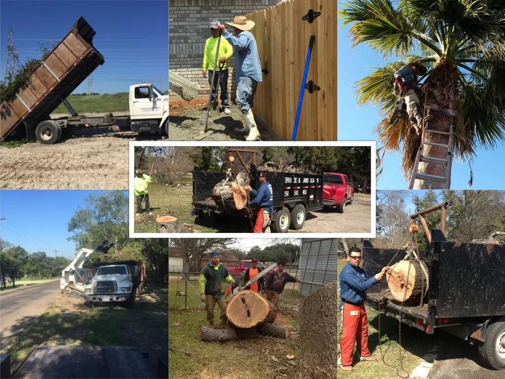 Trusted outdoor landscaping experts serving Belton, TX - Yosef Tree Service and Landscape
