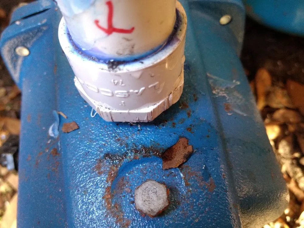 Local lawn care service in St. Augustine, FL by Yosemite Irrigation and Landscaping