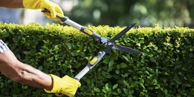 Professional landscape design in St. Augustine, FL by Yosemite Irrigation and Landscaping