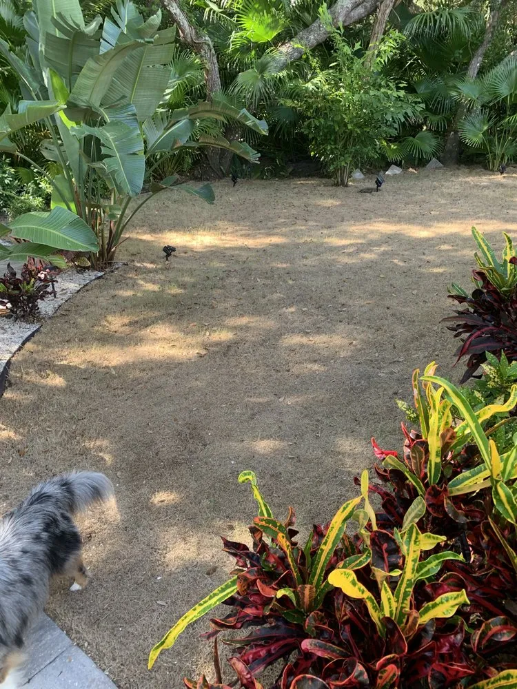 Top-rated lawn mowing service for year-round maintenance in St. Augustine, FL by Yosemite Irrigation and Landscaping