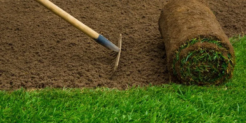 Top-rated garden landscaping for beautiful yards across St. Augustine, FL - Yosemite Irrigation and Landscaping