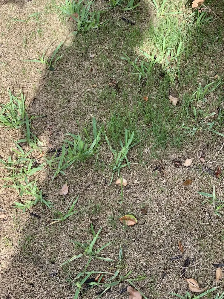 Trusted outdoor landscaping in St. Augustine, FL - Yosemite Irrigation and Landscaping