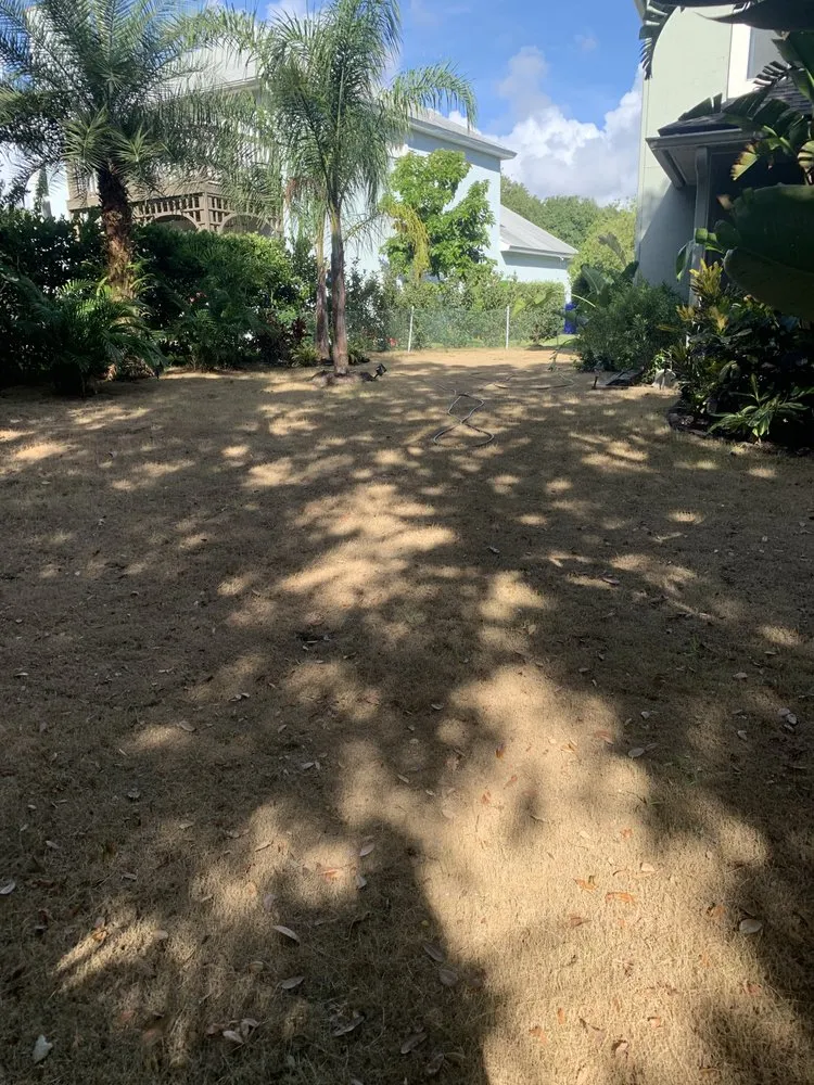 Custom yard maintenance experts serving St. Augustine, FL - Yosemite Irrigation and Landscaping