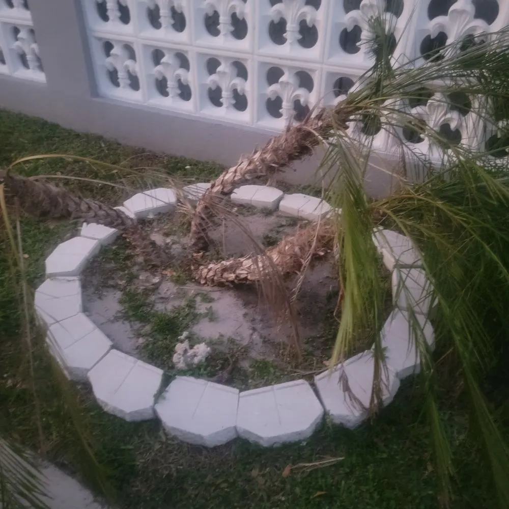 Reliable outdoor landscaping in Tamarac, FL - Yosvany's Landscaping