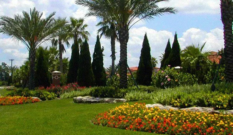 Local landscaping services for beautiful yards in Tamarac, FL by Yosvany's Landscaping