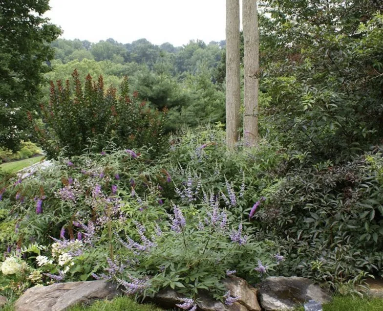 Custom landscape installation in Newtown Square, PA - You Buy We Plant