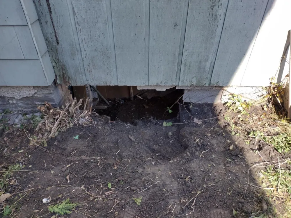 Reliable yard maintenance for year-round maintenance across Elmira, NY - You Call I Haul