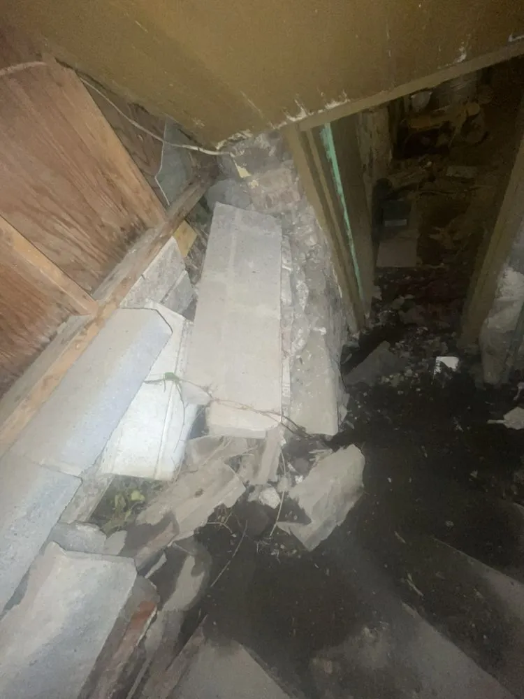 Expert lawn care service experts serving Elmira, NY - You Call I Haul