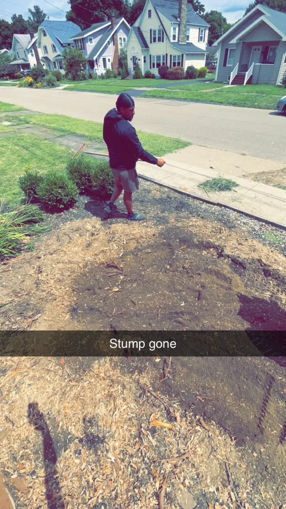 Local yard maintenance in Elmira, NY by You Call I Haul