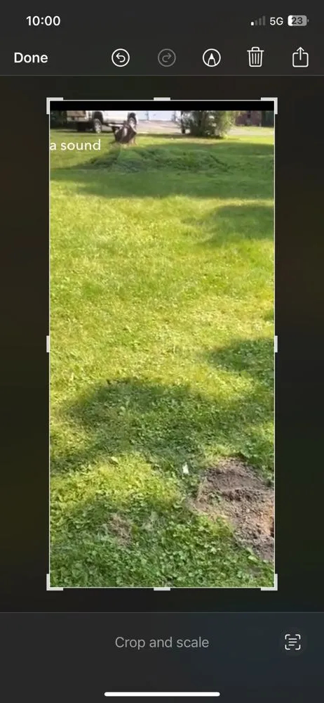 Affordable residential landscaping experts serving Elmira, NY - You Call I Haul