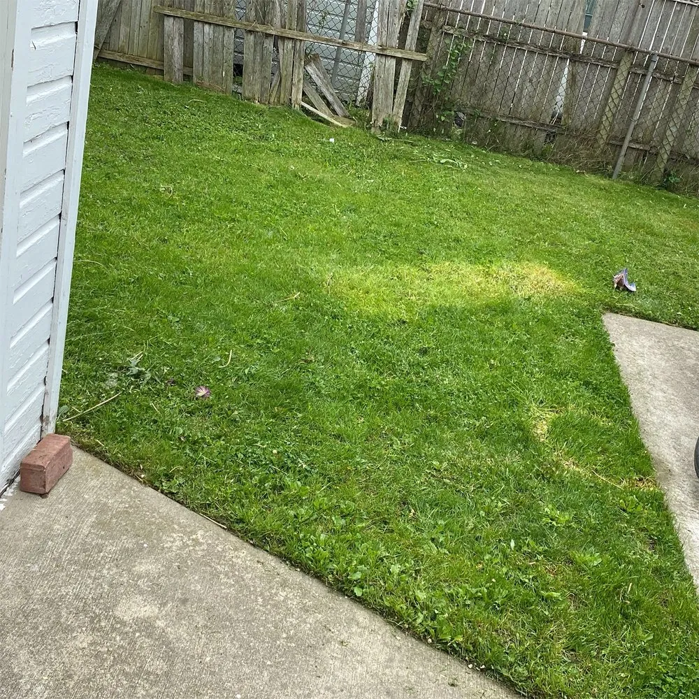 Top-rated residential landscaping near you in Eastpointe, MI by You Call We Cut