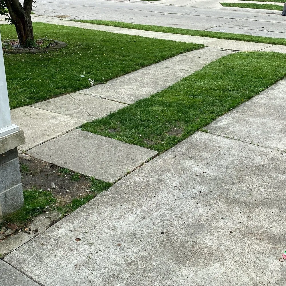 Reliable yard cleanup service near you in Eastpointe, MI by You Call We Cut