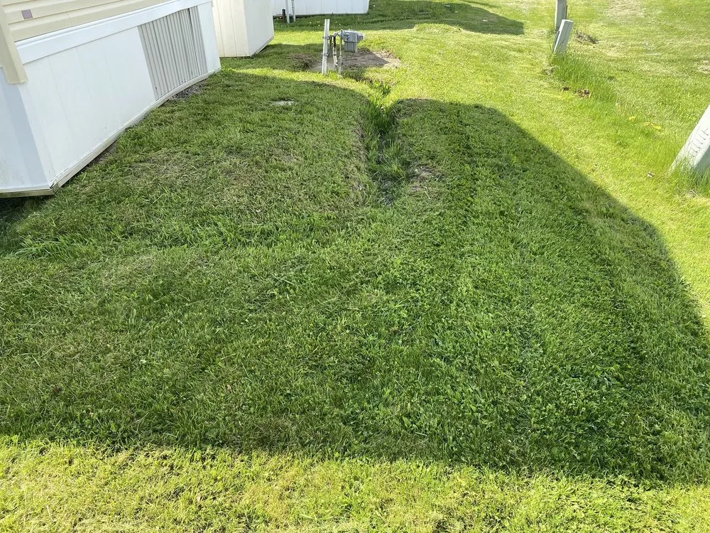 Top-rated lawn mowing service in Eastpointe, MI - You Call We Cut