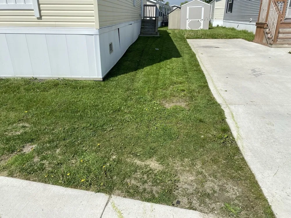 Trusted yard maintenance in Eastpointe, MI by You Call We Cut
