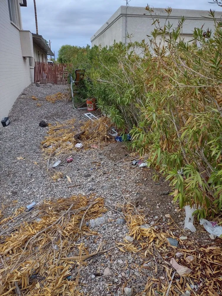 Custom residential landscaping experts serving Lake Havasu City, AZ - You Call We Haul