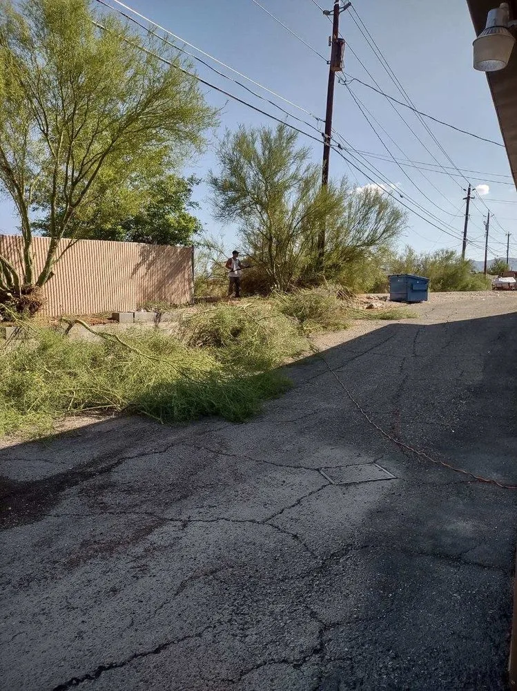 Reliable lawn care service for year-round maintenance in Lake Havasu City, AZ by You Call We Haul