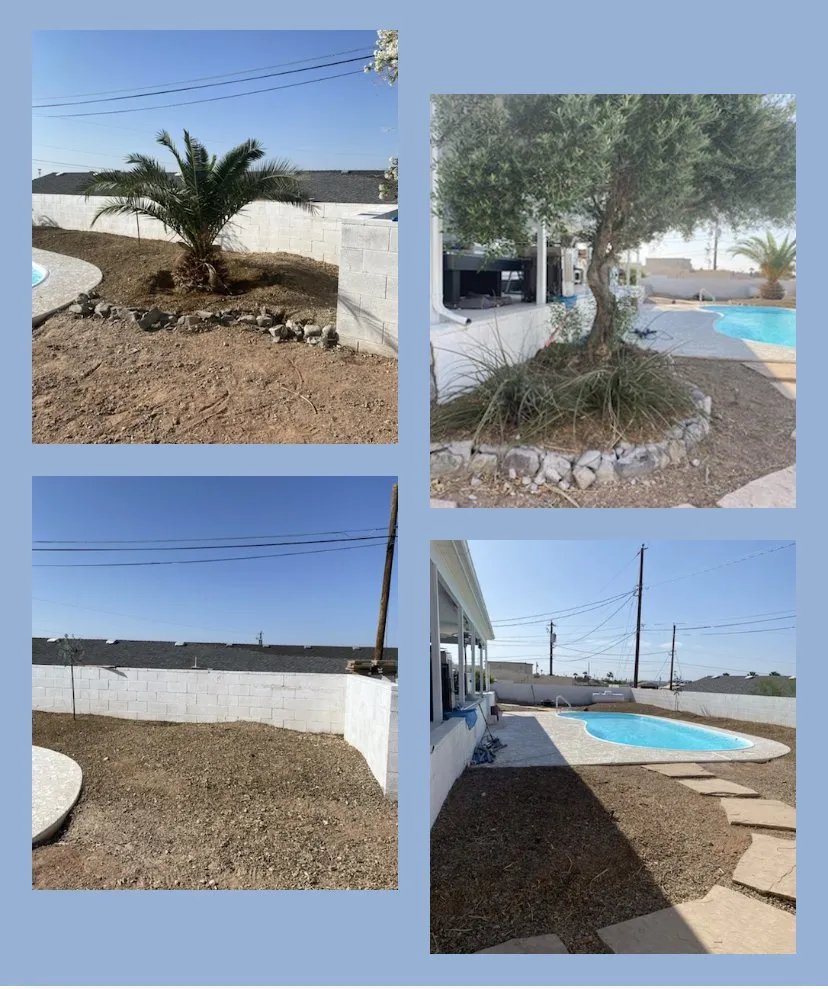 Top-rated yard cleanup service in Lake Havasu City, AZ - You Call We Haul