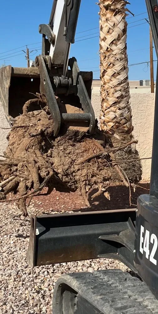 Custom landscape installation in Lake Havasu City, AZ by You Call We Haul