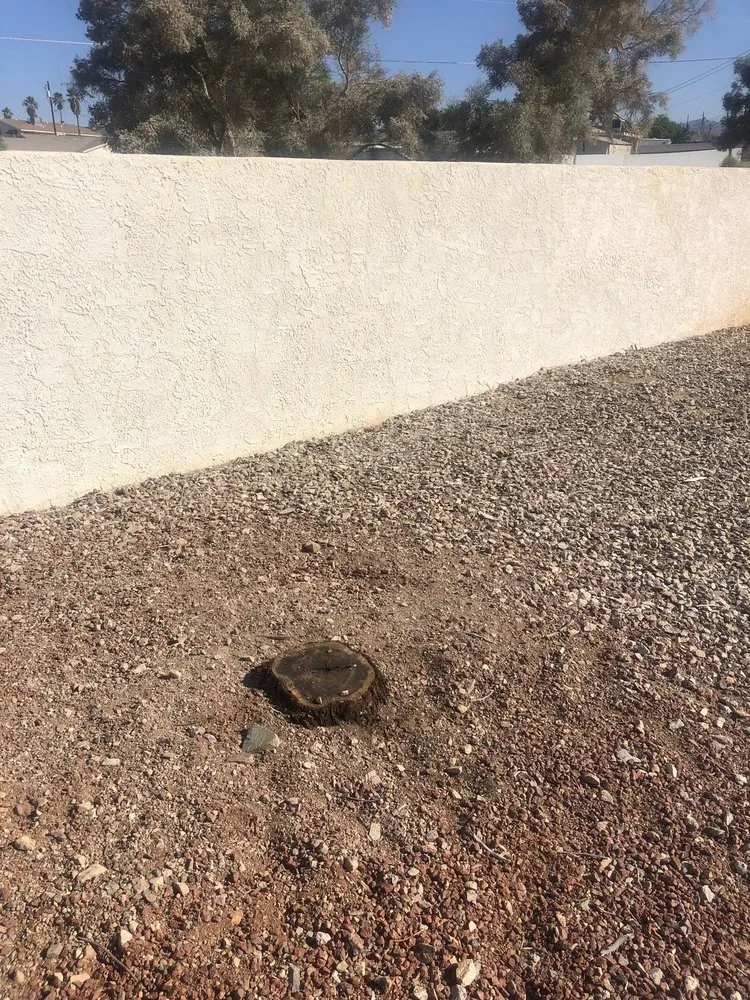 Expert lawn mowing service in Lake Havasu City, AZ by You Call We Haul