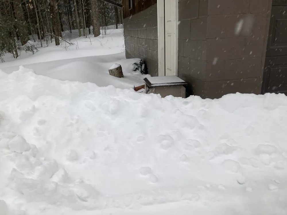 Local yard cleanup service experts serving Marcy, NY - You Call We Haul