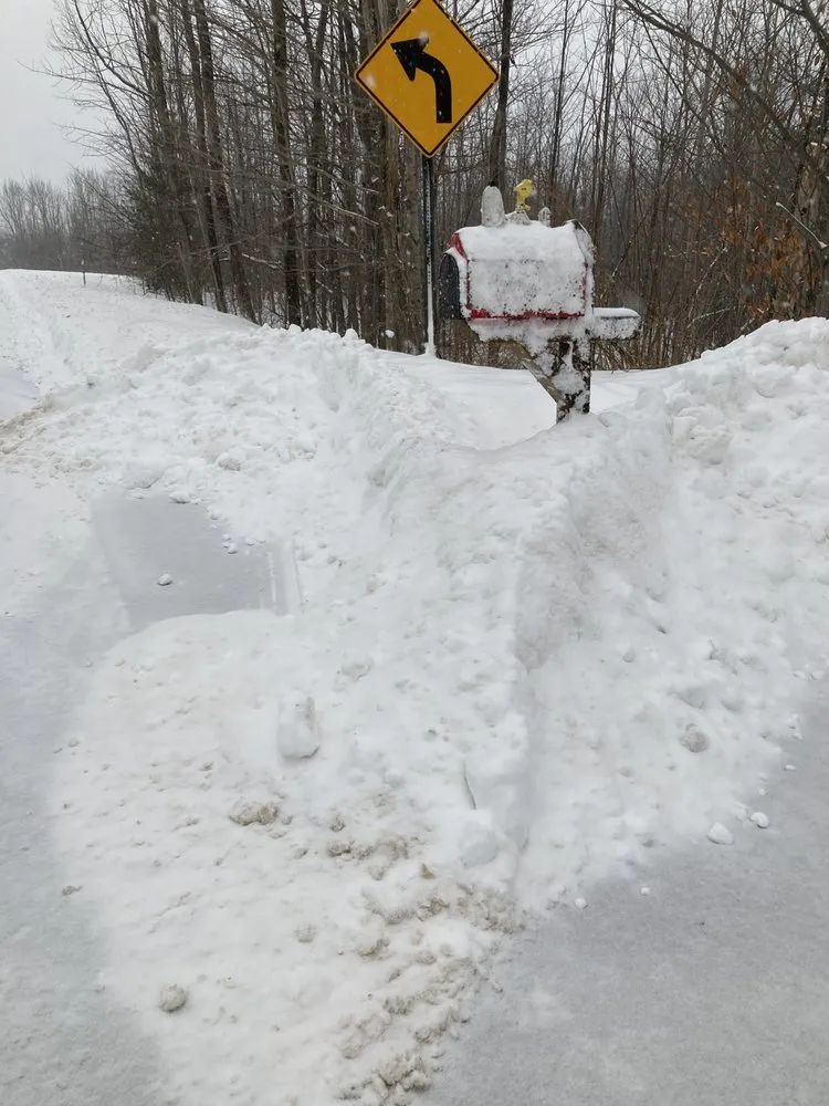 Expert garden landscaping in Marcy, NY - You Call We Haul