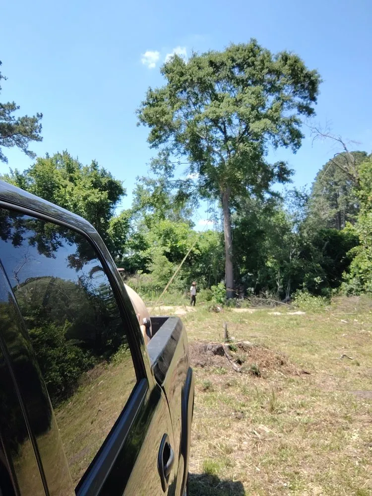 Professional landscape installation in McColl, SC - You Call We Haul