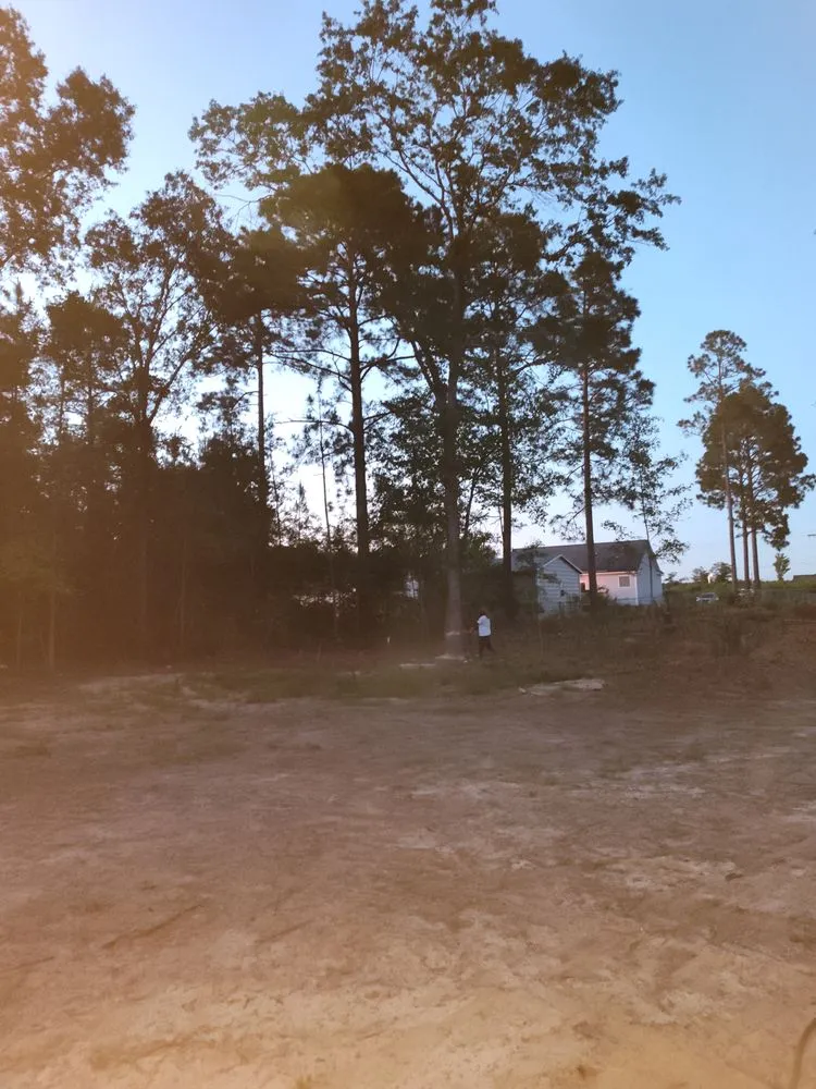 Custom garden landscaping for outdoor upgrades across McColl, SC - You Call We Haul