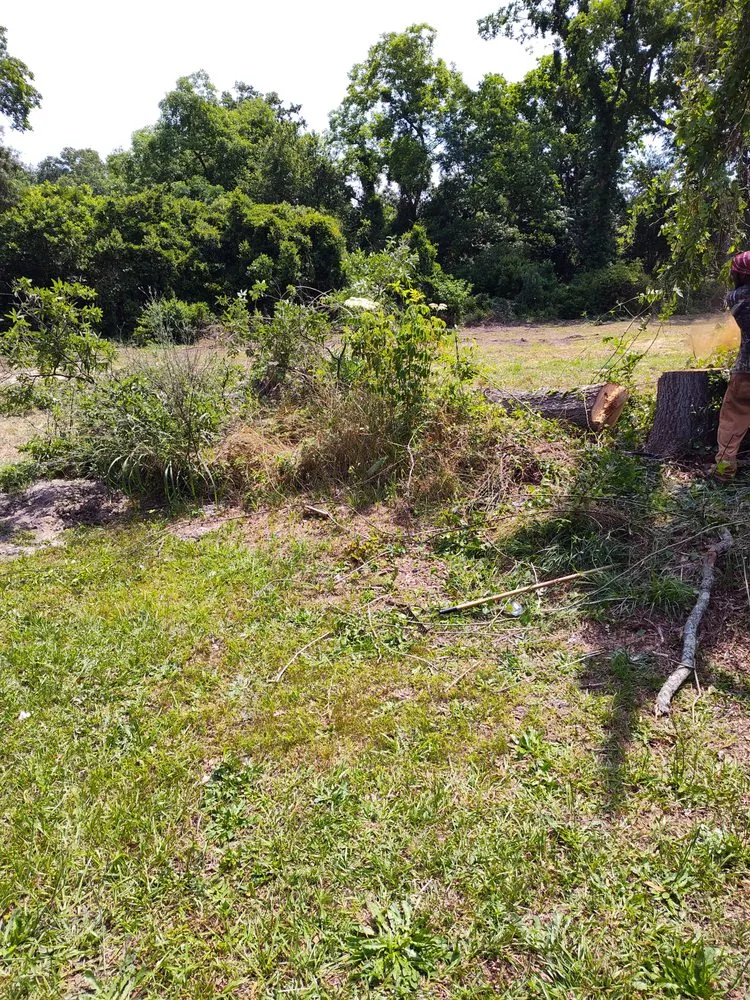 Local yard cleanup service experts serving McColl, SC - You Call We Haul