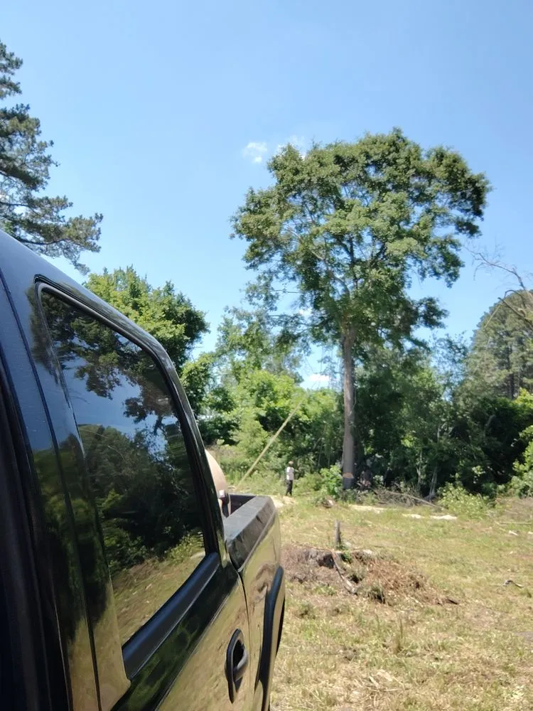 Local yard cleanup service with custom design in McColl, SC by You Call We Haul