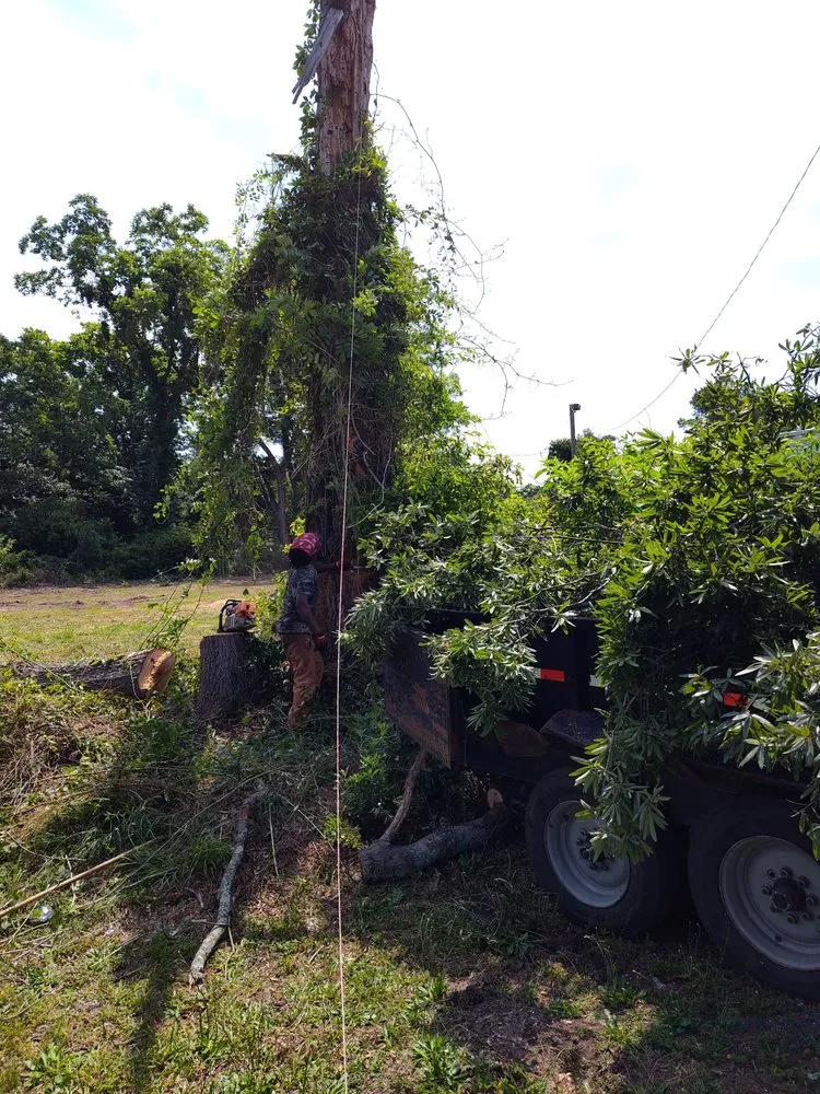 Affordable lawn mowing service for beautiful yards in McColl, SC by You Call We Haul