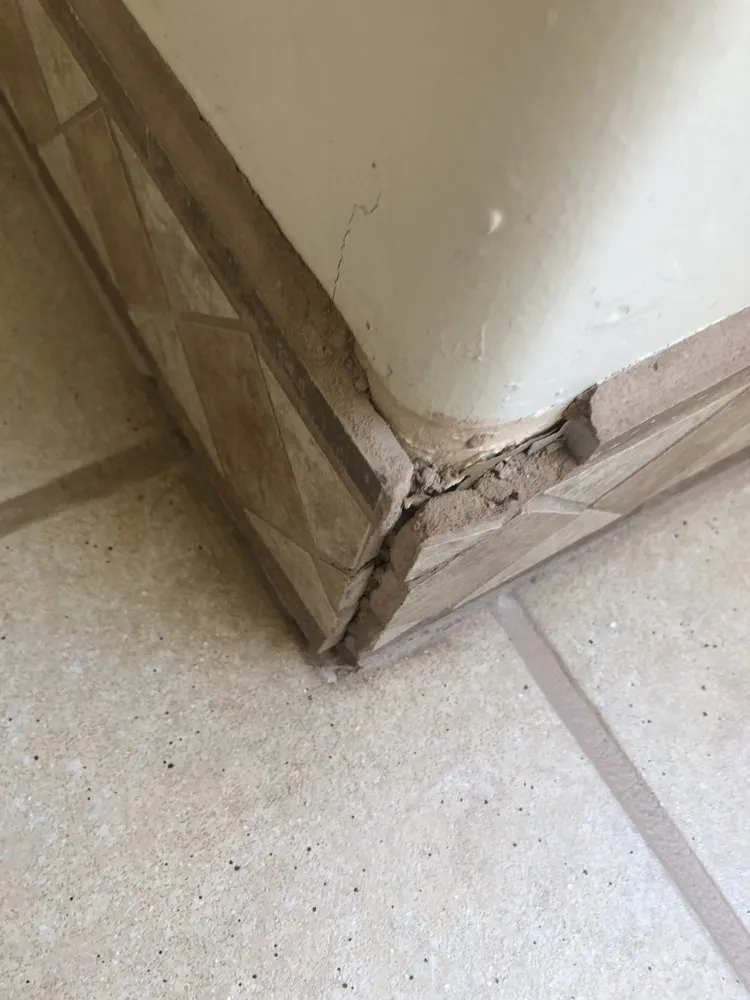 Professional outdoor landscaping experts serving Tucson, AZ - You Got Benched