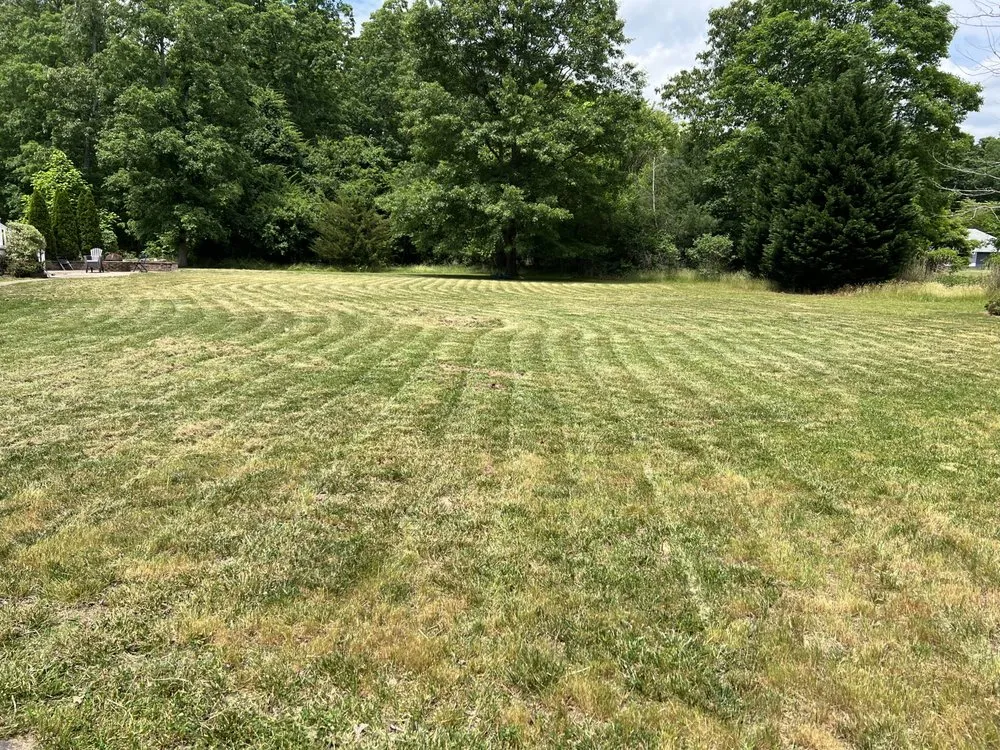 Top-rated yard cleanup service in Egg Harbor Township, NJ - You Got Green