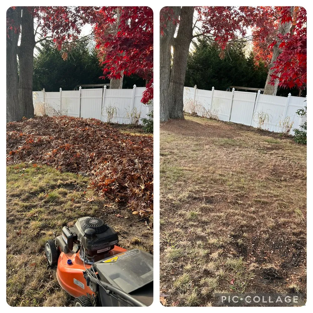 Trusted yard cleanup service in Egg Harbor Township, NJ by You Got Green