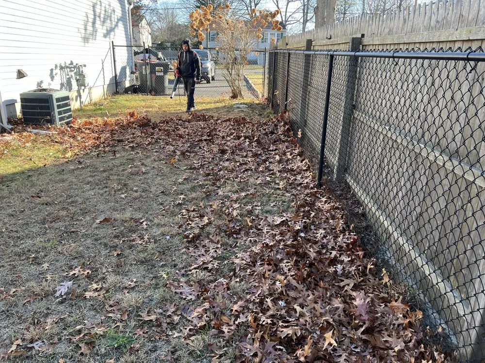 Local yard maintenance experts serving Egg Harbor Township, NJ - You Got Green