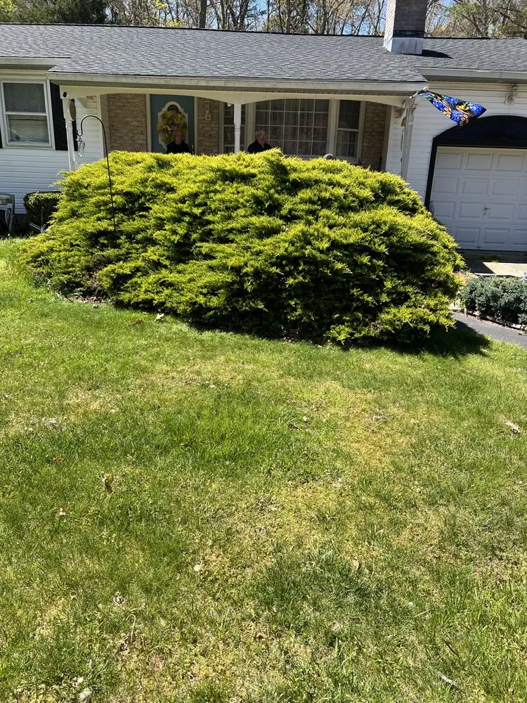 Top-rated landscaping services with custom design across Egg Harbor Township, NJ - You Got Green